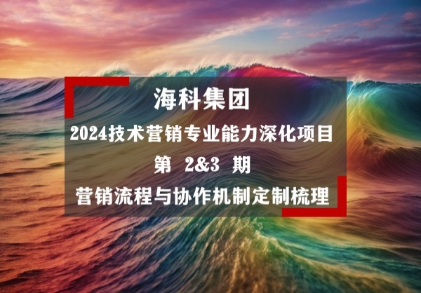 海科集团2024技术营销项目第2&3期：营销流程与协作机制梳理