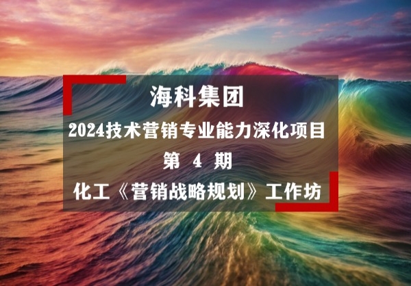 海科集团2024技术营销项目第4期：海科化工《营销战略规划》工作坊